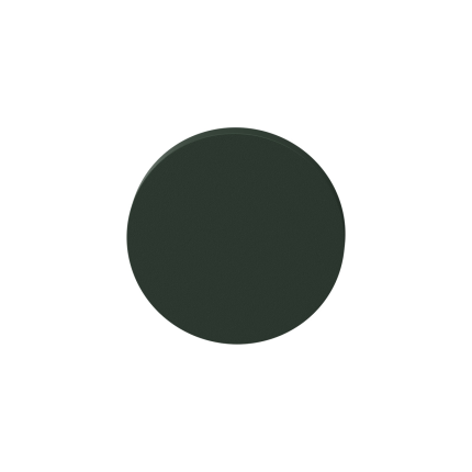 Cigar-shaped door handles on rosette | GPF | moss