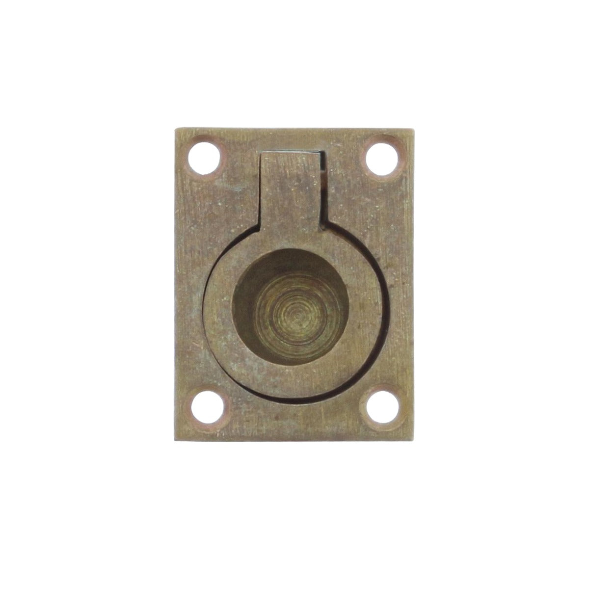 Intersteel Luikring 65x49mm - messing getrommeld