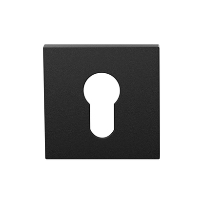 Door handles L-shaped on rosette | GPF | stainless steel